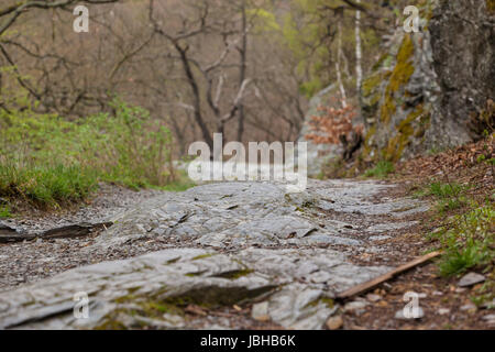 Harzer Hexen-Stieg / Bodetal-Stieg zwischen Treseburg und Thale Foto Stock