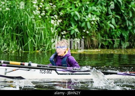 Durham, Regno Unito. 11 Giugno, 2017. Cox sulle donne del 4 equipaggio grida di incoraggiamento per il suo equipaggio. Credito: Tim Withnall/Alamy Live News Foto Stock