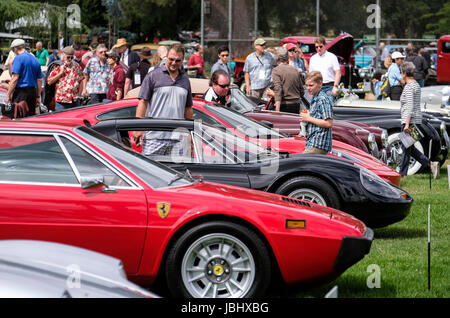 Los Angeles, Stati Uniti d'America. 11 Giugno, 2017. I visitatori guardano Farrari classic cars durante il San Marino Motor Classic show a San Marino, California, Stati Uniti, il 11 giugno 2017. Credito: Zhao Hanrong/Xinhua/Alamy Live News Foto Stock