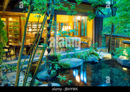 Lo stagno di pesce e biblioteca presso il tradizionale giapponese inn, o Ryokan, chiamato Iwanoyu a Seni Onsen in Nagano, Giappone Foto Stock