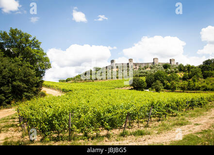 Monteriggioni, Regione Toscana, Italia. Vigneto di fronte le antiche mura medievali Foto Stock