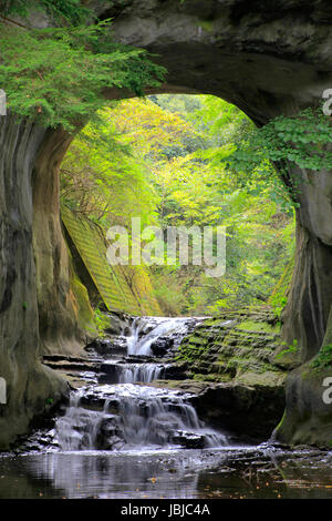 Nomizo-no-Taki le Cascate di Kimitsu Chiba GIAPPONE Foto Stock