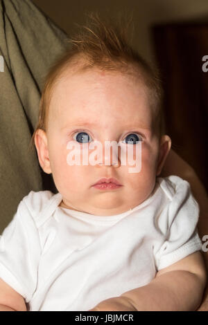 Quasi un bambino di quattro mesi sta guardando direttamente nella fotocamera Foto Stock