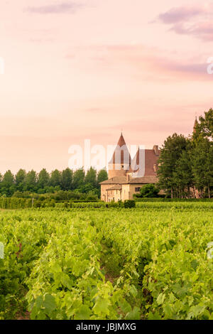 Tramonto su vigneti e chateau di Beaujolais Regione, Corcelles-en-Beaujolais, Rhône, Francia Foto Stock