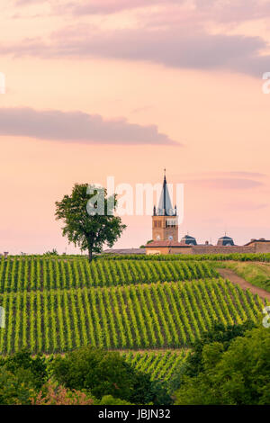 Tramonto sopra i vigneti della regione di Beaujolais verso il villaggio di Lancié e l Eglise Saint Julien, Rhône, Auvergne-Rhône-Alpes, Francia Foto Stock