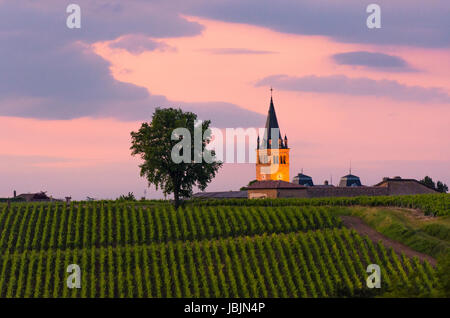 Tramonto sopra i vigneti della regione di Beaujolais verso il villaggio di Lancié e l Eglise Saint Julien, Rhône, Auvergne-Rhône-Alpes, Francia Foto Stock