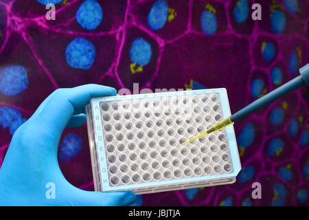 Biologia moderna. La ricerca scientifica dei sistemi viventi. Foto Stock