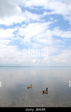 Panorama lookout Foto Stock