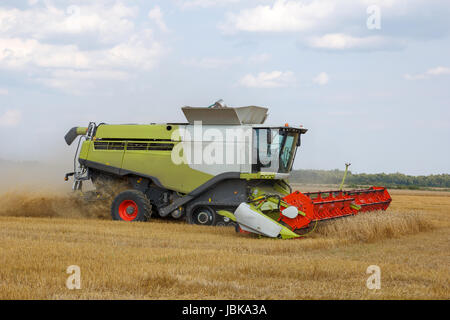 La mietitrebbia mows grano in un campo Foto Stock