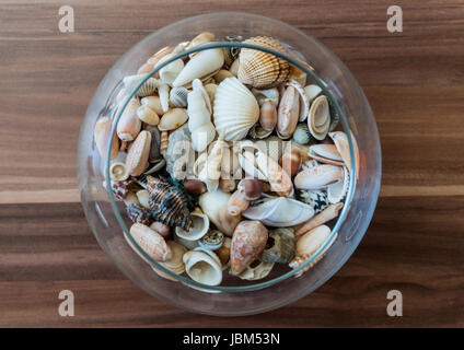 Ciotola di conchiglie su sfondo di legno Foto Stock