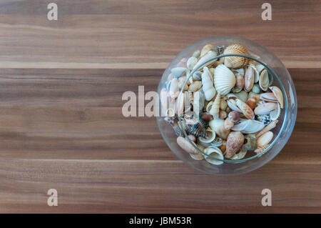 Ciotola di conchiglie su sfondo di legno Foto Stock