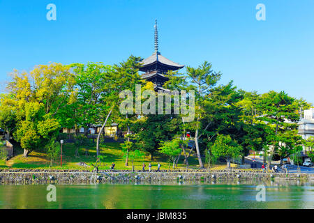 Nara, Giappone a Stagno di Sarusawa al giorno Foto Stock