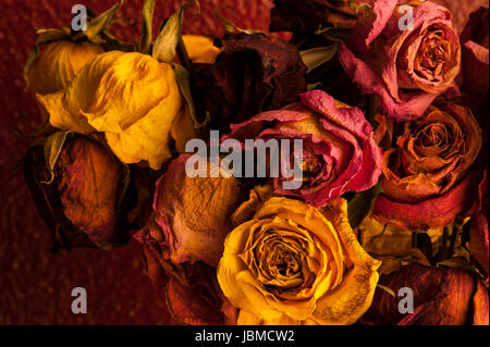 Rose multicolori avvizzimento in vaso di vetro con una calda luce del tramonto Foto Stock