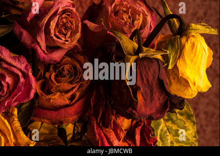 Rose multicolori avvizzimento in vaso di vetro con una calda luce del tramonto Foto Stock