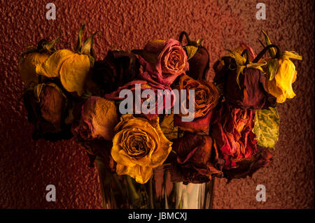 Rose multicolori avvizzimento in vaso di vetro con finestra calda luce della finestra Foto Stock