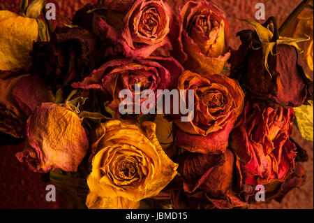 Rose multicolori avvizzimento in vaso di vetro con una calda luce della finestra Foto Stock