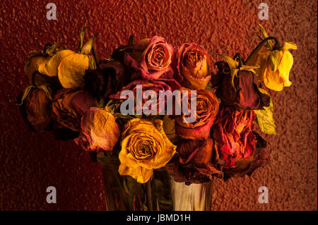 Rose multicolori avvizzimento in vaso di vetro con una calda luce della finestra Foto Stock