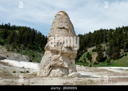 Liberty Cap caldo cono a molla si trova a Mammoth Hot Springs nel Parco Nazionale di Yellowstone, Wyoming negli Stati Uniti. Foto Stock