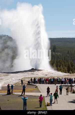 Visitatori guarda il geyser Old Faithful eruttare nel parco nazionale di Yellowstone, Wyoming negli Stati Uniti. Foto Stock