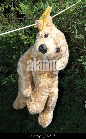 Il giocattolo di peluche di essiccazione Foto Stock