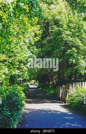 Dublino, Irlanda - 10 Giugno, 2017: dettaglio di Merrion Square Park nel centro della città di Dublino Foto Stock