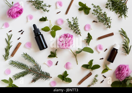 Selezione di oli essenziali e di erbe su uno sfondo bianco - menta piperita, rose, melissa, timo, rosmarino, cannella, chiodo di garofano, thuja Foto Stock
