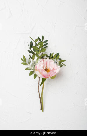 Rosa peonia fiore bianco su sfondo a trama Foto Stock