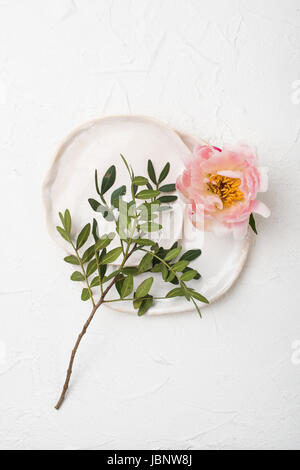 Rosa peonia fiore bianco su sfondo a trama Foto Stock