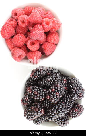 Blackberry fresco e rosso lampone frutti in piccole ciotole di colore bianco Foto Stock
