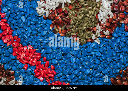Abstract colorati sementi agricole e grani di sfondo - il mais, girasole e riso Foto Stock