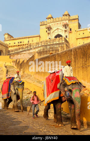 Decorate elefanti andando sul sentiero acciottolato dal Forte Amber vicino a Jaipur, Rajasthan, India. Corse di elefanti sono popolare attrazione turistica in ambe Foto Stock