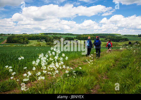 Un gruppo di escursionisti su un estate ramble in Cotswolds. Foto Stock