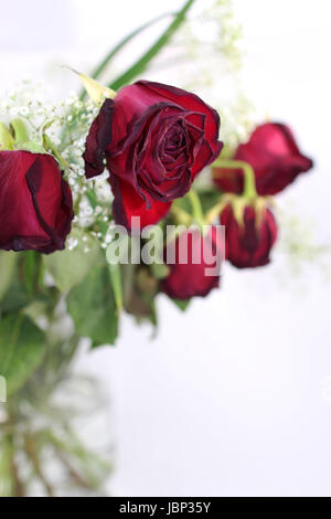 Un mazzo di rose appassite, close up Foto Stock