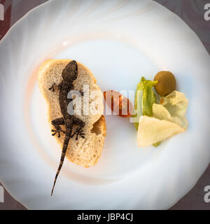 Lizard e pane con verdura su piastra Foto Stock