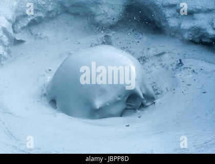 Sculture di fango bollente in Hverir area geotermica, Islanda Foto Stock