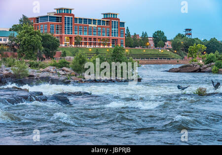 I grandi aironi blu sul fiume Chattahoochee nel bel lungomare Uptown distretto di Columbus, Georgia, Stati Uniti d'America. Foto Stock