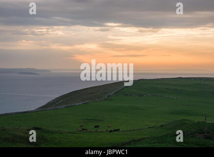 Tramonto al litorale di Great Orme di testa, un promontorio e nella riserva naturale del Galles del Nord Foto Stock