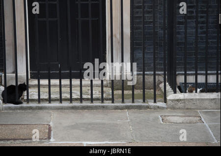 A Downing Street, Londra, Regno Unito. Il 12 giugno 2017. I ministri del governo di arrivare a Downing Street per il primo armadio politico riunione del nuovo parlamento appeso governo conservatore di PM Theresa Maggio dopo le elezioni generali. Palmerston e Larry stand-off al di fuori n. 10. Credito: Malcolm Park / Alamy Live News. Foto Stock