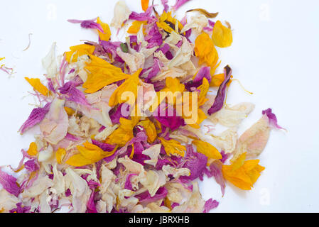Essiccato multicolori petali di fiori potpourri su sfondo bianco Foto Stock