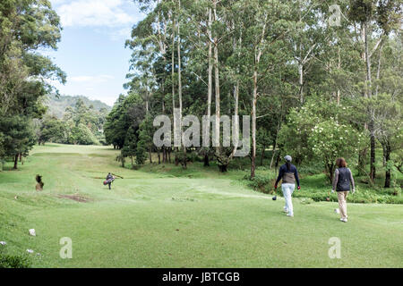 I giocatori e i caddy sul campo da golf di Nuwara Eliya, Sri Lanka Foto Stock