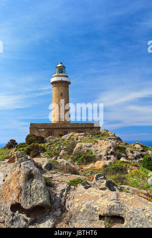 Faro in Isola di San Pietro, Carloforte, sud ovest della Sardegna, Italia Foto Stock