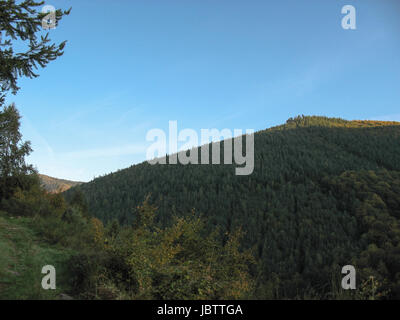 Sunrise oltre le montagne Vosges in Alsazia in Francia Foto Stock