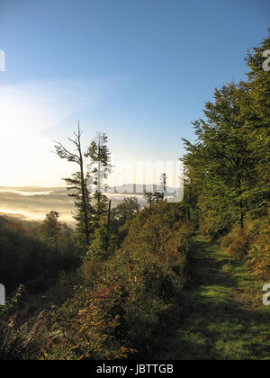 Sunrise oltre le montagne Vosges in Alsazia in Francia Foto Stock