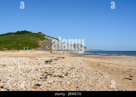 Charmouth, Dorset, England, Regno Unito, Europa Foto Stock