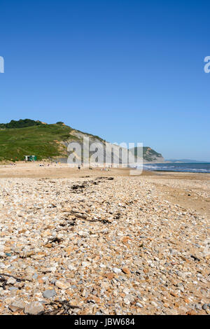 Charmouth, Dorset, England, Regno Unito, Europa Foto Stock