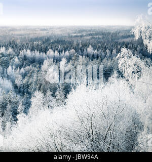 Paesaggio panoramico con alberi di neve e tramonto al freddo inverno giorno Foto Stock