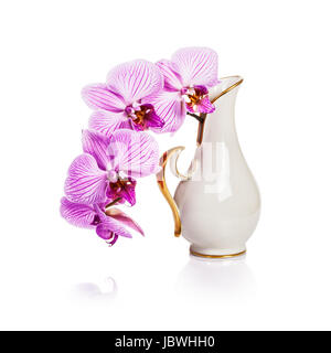 Antichi porcellana bianca Vaso con fiori di orchidea colori rosa su sfondo bianco percorso di clipping incluso Foto Stock