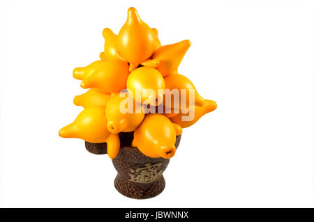 Solanum ornamentali mammosum impianto, che rappresentano i simboli fortunati nel nuovo anno cinese, isolato su bianco Foto Stock