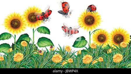 Ladybugs battenti in sunflower garden illustrazione Illustrazione Vettoriale