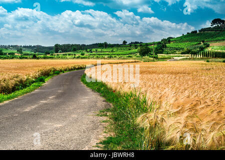 Colture di cereali e agriturismo in Toscana, Italia Foto Stock